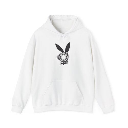 7246504051899152467_4096.jpeg Unisex Heavy Blend™ Hooded Sweatshirt